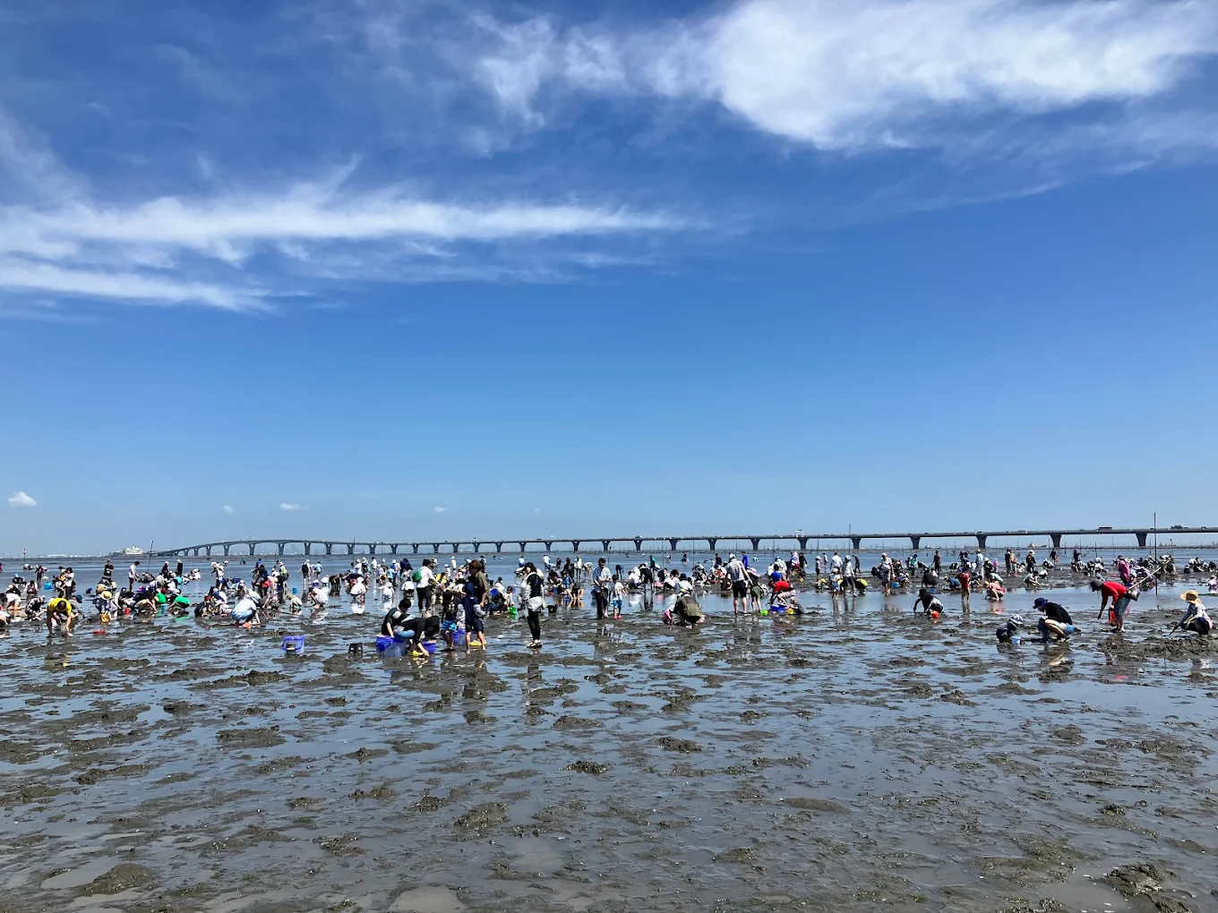春の金田。海で遊び、海を味わう暮らし。