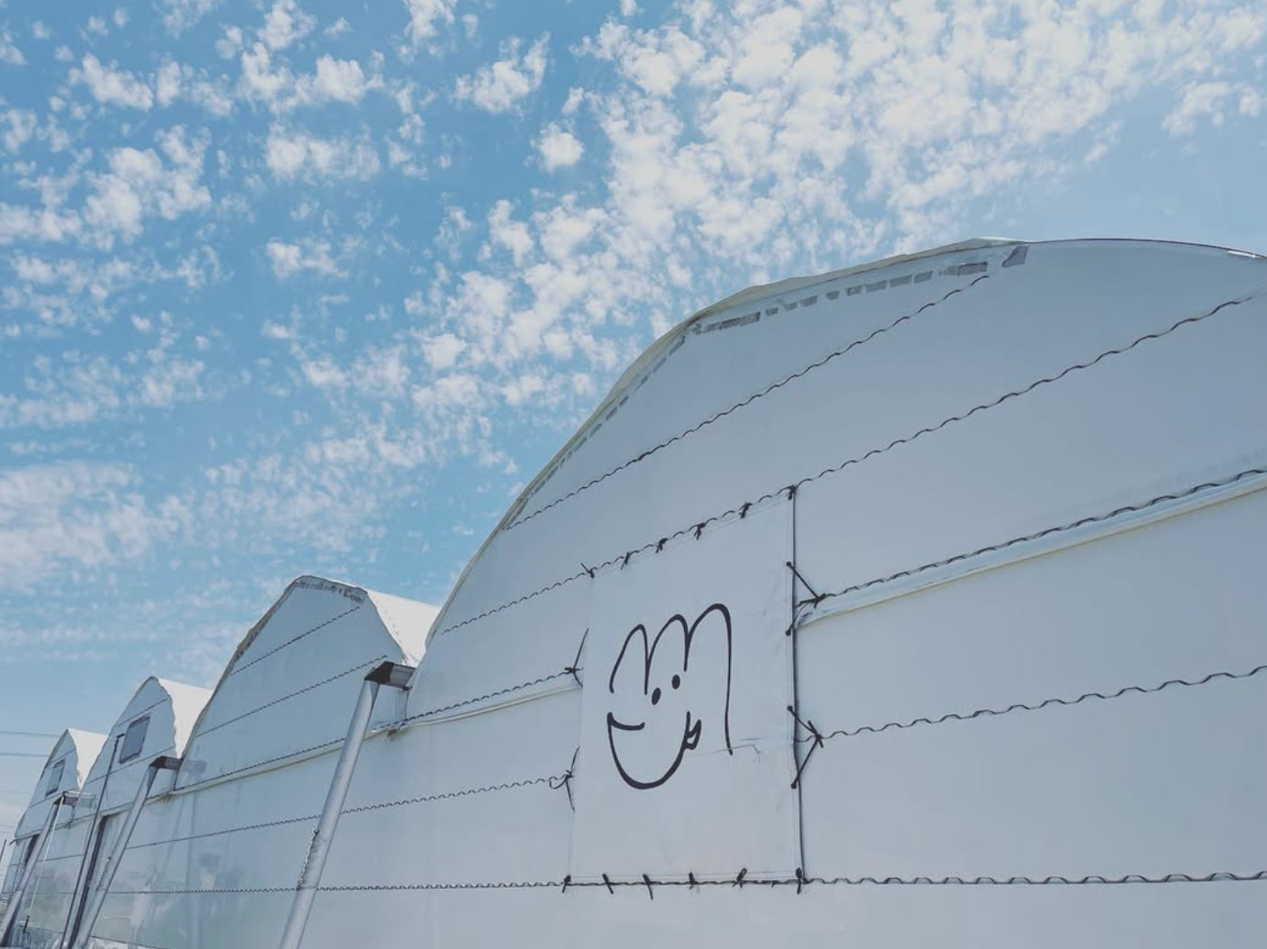 【木更津市】今が最高のシーズン！マンモスいちご園で春のいちご狩り