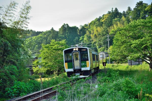 君津市ってどんな街？自然と暮らしが調和する内房エリアの魅力