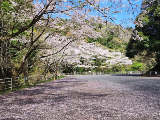 久留里城で感じる、君津の歴史と自然。週末のおでかけにもおすすめのスポット